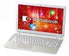 ڥȥåȡOffice HB  dynabook T45 PT45PGY-SHA [ƥ󥴡][Celeron1.5GHz/4G/1TB/̵/DVD-SM/Web/Win8.1]Ρȥѥ ΡPC
