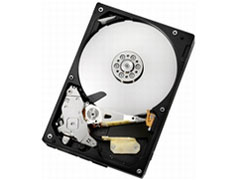 ڥХ륯ʡHDD 3.5 SATA 2TB  HDS723020BLE640